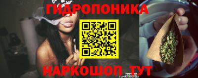 стафф Апшеронск
