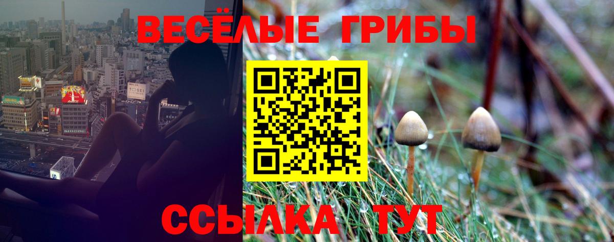 Воронеж  Псилоцибиновые грибы ЛСД  Галлюциногенные грибы Magic Shrooms  Вход с VPN 