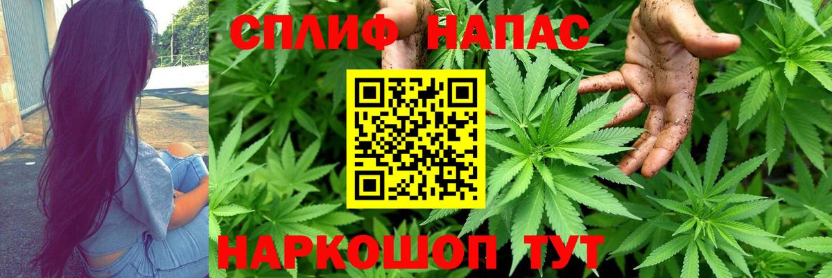 МАРИХУАНА семена  Конопля планчик  Воронеж  Вход с VPN  Бошки марихуана OG Kush  МАРИХУАНА индика 